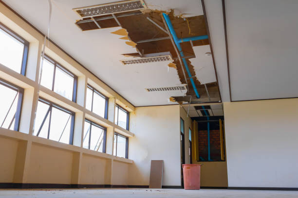 Best Basement water damage restoration  in Myrtle Creek, OR