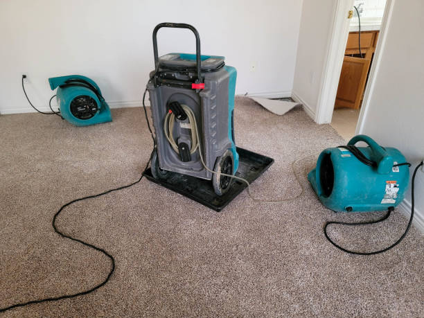 Best Ceiling water damage repair  in Myrtle Creek, OR