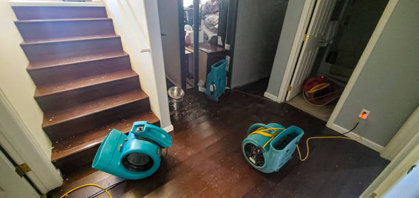 Reliable Myrtle Creek, OR Water damage restoration Solutions