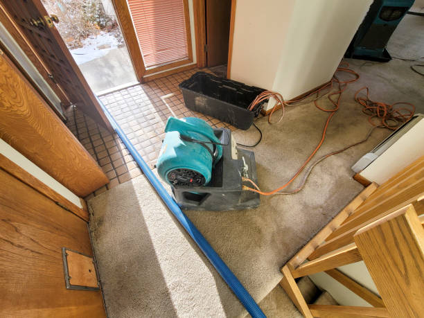 Best Residential water damage restoration  in Myrtle Creek, OR