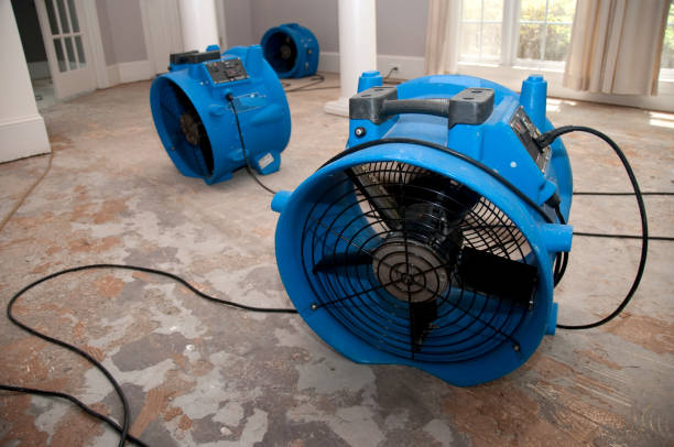 Best Flooded house restoration  in Myrtle Creek, OR