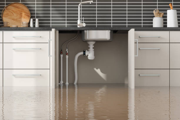 Best 24-hour water damage restoration  in Myrtle Creek, OR