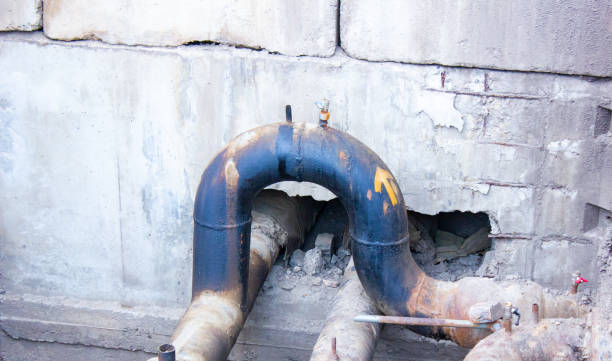 Best Professional water damage repair  in Myrtle Creek, OR