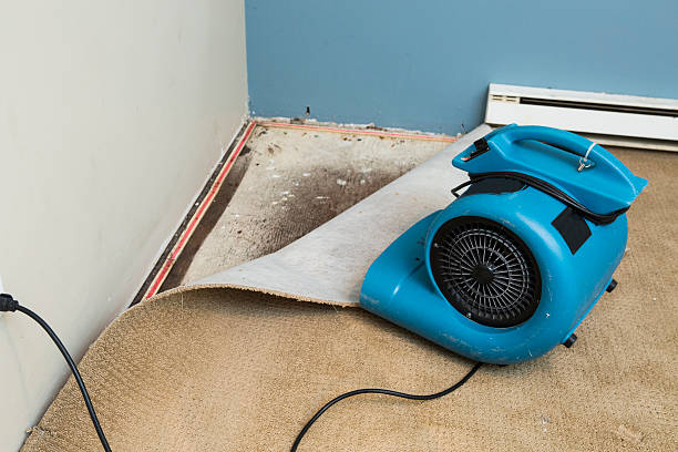 Best Emergency water damage restoration  in Myrtle Creek, OR